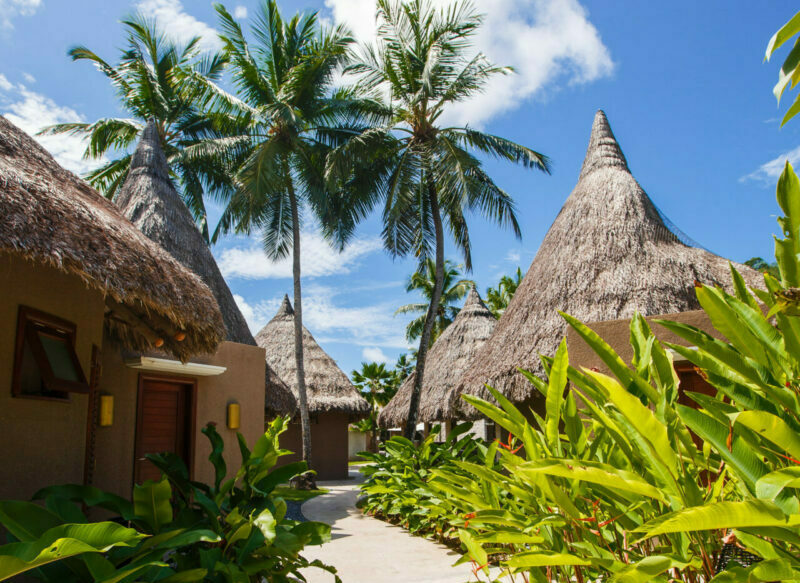 Olives Et Libellules Gite Vence Seychelles Hotel Wallpaper Olives Et Libellules Gite Vence Seychelles Hotel Wallpaper